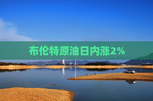 布伦特原油日内涨2%