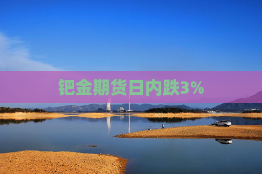 钯金期货日内跌3%