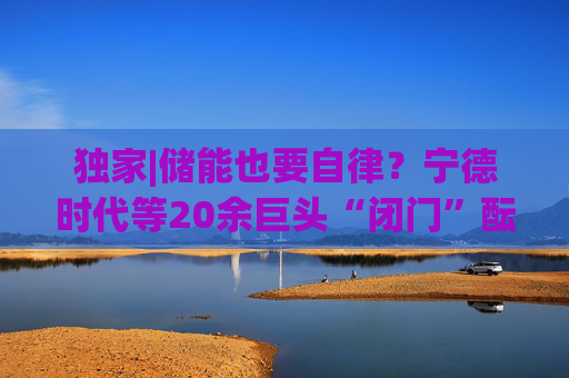 独家|储能也要自律?宁德时代等20余巨头“闭门”酝酿倡议 第1张 独家|储能也要自律?宁德时代等20余巨头“闭门”酝酿倡议 第1张