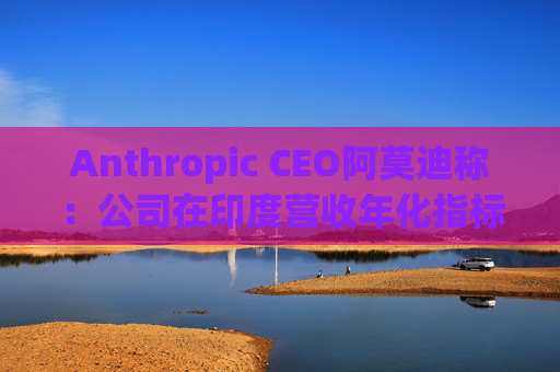 Anthropic CEO阿莫迪称：公司在印度营收年化指标4个月内翻倍