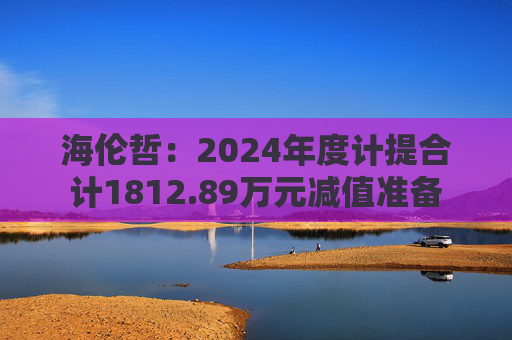 海伦哲：2024年度计提合计1812.89万元减值准备