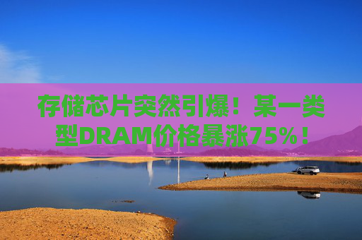 存储芯片突然引爆！某一类型DRAM价格暴涨75%！