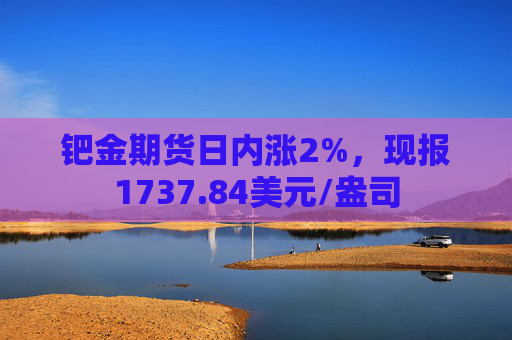 钯金期货日内涨2%，现报1737.84美元/盎司