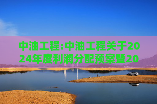 中油工程:中油工程关于2024年度利润分配预案暨2025年中期现金分红有关事项授权的公告