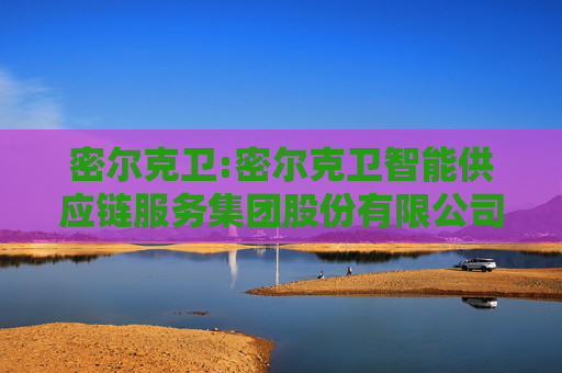 密尔克卫:密尔克卫智能供应链服务集团股份有限公司对外投资与资产处置管理制度（2025年4月）