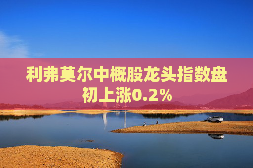 利弗莫尔中概股龙头指数盘初上涨0.2%