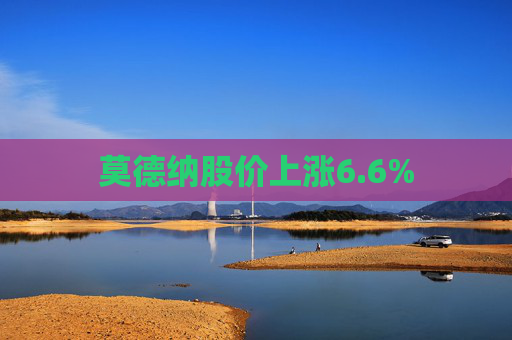 莫德纳股价上涨6.6%