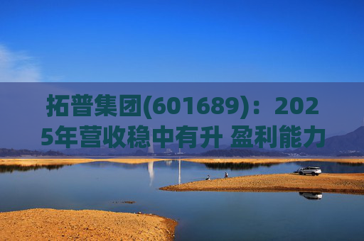 拓普集团(601689)：2025年营收稳中有升 盈利能力短期承压
