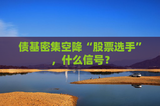 债基密集空降“股票选手”，什么信号？