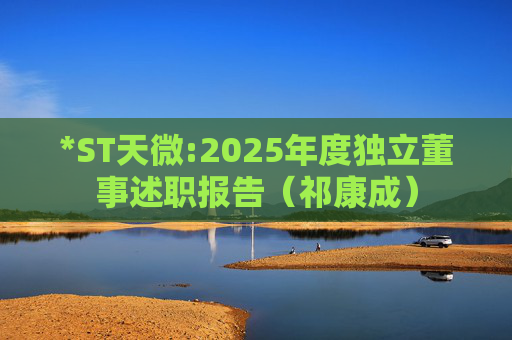 *ST天微:2025年度独立董事述职报告（祁康成）
