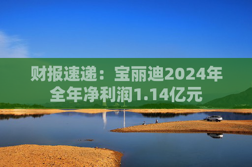 财报速递：宝丽迪2024年全年净利润1.14亿元