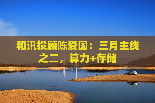 和讯投顾陈爱国：三月主线之二，算力+存储