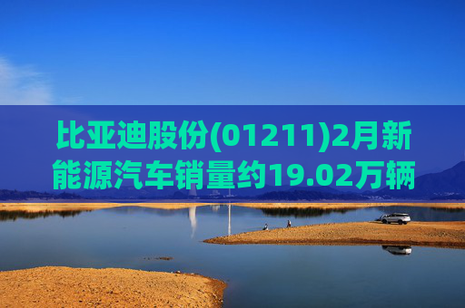 比亚迪股份(01211)2月新能源汽车销量约19.02万辆