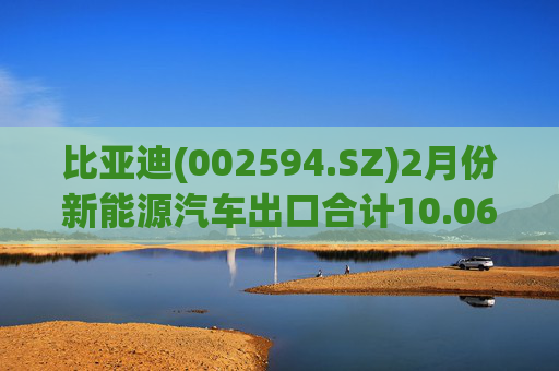 比亚迪(002594.SZ)2月份新能源汽车出口合计10.06万辆