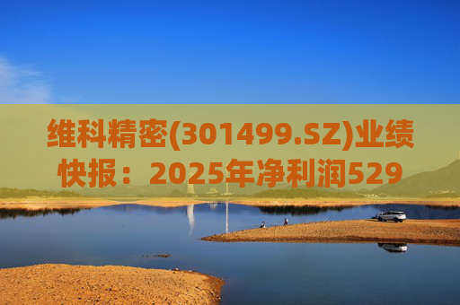 维科精密(301499.SZ)业绩快报：2025年净利润5293.82万元 同比增长16.85%