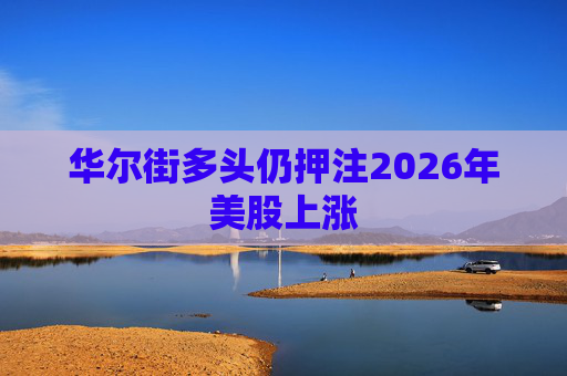 华尔街多头仍押注2026年美股上涨  第1张