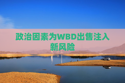 政治因素为WBD出售注入新风险