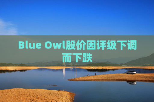 Blue Owl股价因评级下调而下跌
