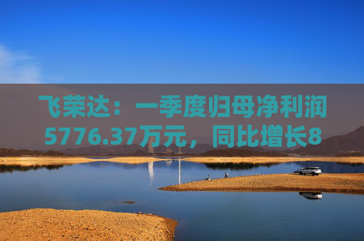 飞荣达：一季度归母净利润5776.37万元，同比增长85.57%  第1张