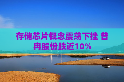 存储芯片概念震荡下挫 普冉股份跌近10%