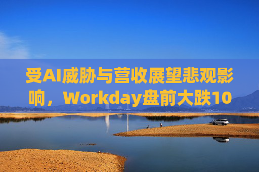 受AI威胁与营收展望悲观影响，Workday盘前大跌10%  第1张
