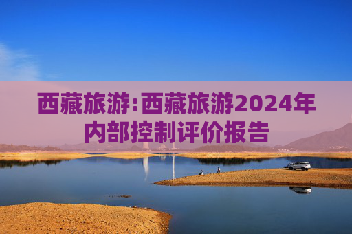 西藏旅游:西藏旅游2024年内部控制评价报告