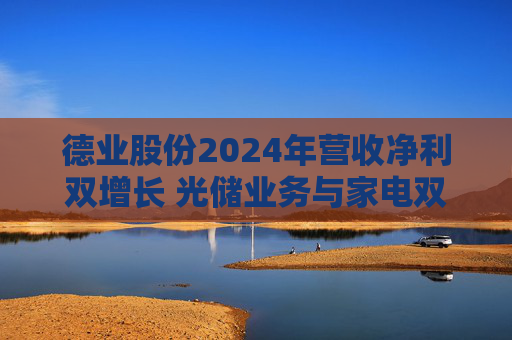 德业股份2024年营收净利双增长 光储业务与家电双轮驱动发力