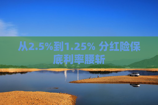 从2.5%到1.25% 分红险保底利率腰斩