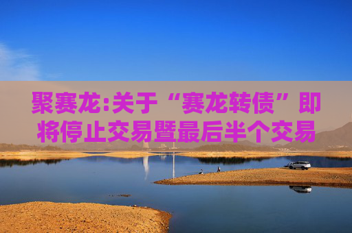 聚赛龙:关于“赛龙转债”即将停止交易暨最后半个交易日的重要提示性公告  第1张