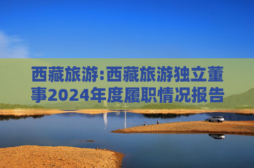 西藏旅游:西藏旅游独立董事2024年度履职情况报告（高金波）