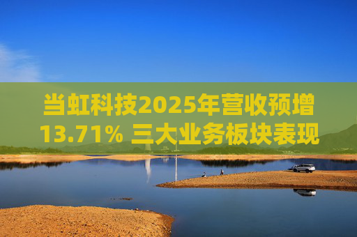 当虹科技2025年营收预增13.71% 三大业务板块表现亮眼  第1张