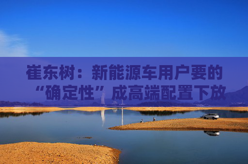 崔东树：新能源车用户要的“确定性”成高端配置下放关键  第1张