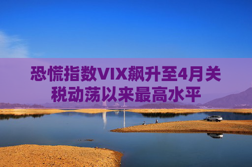 恐慌指数VIX飙升至4月关税动荡以来最高水平  第1张