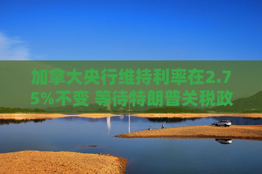 加拿大央行维持利率在2.75%不变 等待特朗普关税政策更加明朗  第1张