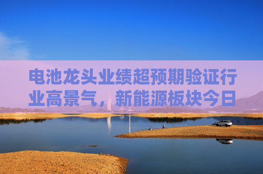 电池龙头业绩超预期验证行业高景气，新能源板块今日爆发