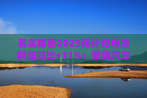 易实精密2025预计归母净利润同比+11%：聚焦汽车精密金属零部件研发销售，设立+增资子公司推进海外布局  第1张