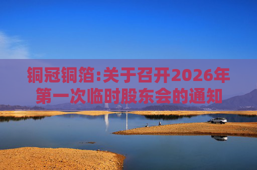 铜冠铜箔:关于召开2026年第一次临时股东会的通知