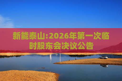新能泰山:2026年第一次临时股东会决议公告