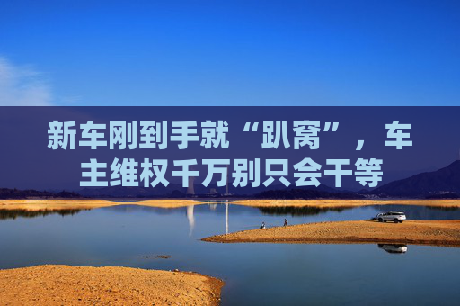 新车刚到手就“趴窝”，车主维权千万别只会干等