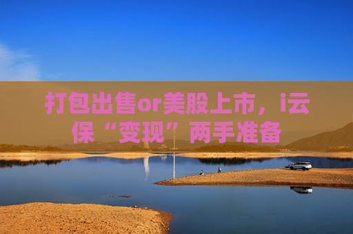 打包出售or美股上市,i云保“变现”两手准备