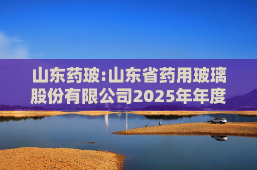 山东药玻:山东省药用玻璃股份有限公司2025年年度报告