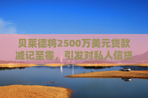 贝莱德将2500万美元贷款减记至零，引发对私人信贷的担忧  第1张