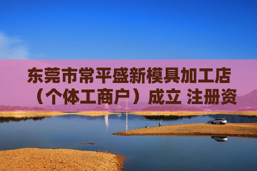 东莞市常平盛新模具加工店（个体工商户）成立 注册资本2万人民币  第1张