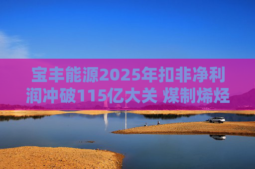 宝丰能源2025年扣非净利润冲破115亿大关 煤制烯烃龙头迎高光时刻