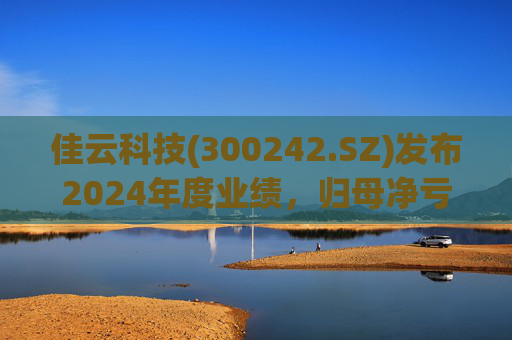 佳云科技(300242.SZ)发布2024年度业绩,归母净亏损1.06亿元,扩大10.93%