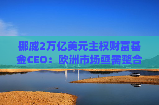 挪威2万亿美元主权财富基金CEO:欧洲市场亟需整合,"赢家通吃" 第1张 挪威2万亿美元主权财富基金CEO:欧洲市场亟需整合,"赢家通吃" 第1张