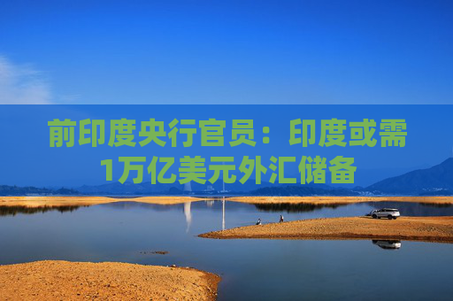 前印度央行官员：印度或需1万亿美元外汇储备  第1张