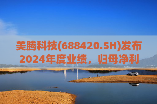 美腾科技(688420.SH)发布2024年度业绩，归母净利润4068万元，同比下降45.21%  第1张