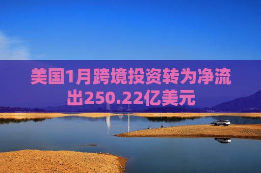 美国1月跨境投资转为净流出250.22亿美元