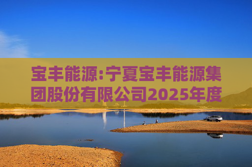 宝丰能源:宁夏宝丰能源集团股份有限公司2025年度独立董事述职报告（孙积禄）